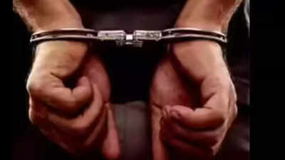 Triple murder in US: One man arrested after 3 people found dead inside camper in North Carolina