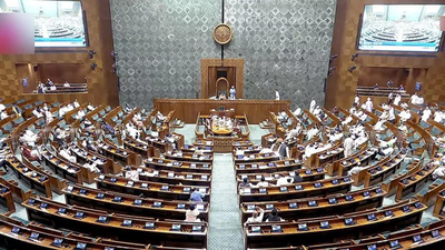Transgender Persons Amendment Bill: Parliament passes bill to amend transgender law; Two members of the council for TG persons resigned in protest. india news