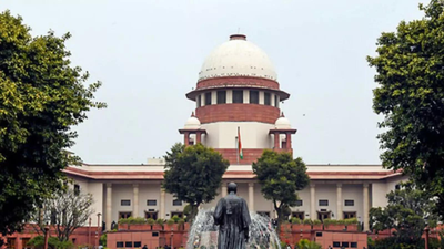 SC: Vague allegations have no basis in dowry case. india news