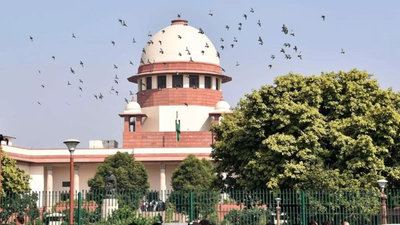 ‘Unstable in law’: SC rules, OBC creamy layer status cannot be decided on the basis of income alone. india news