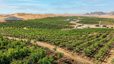Saudi Arabia restores 1 million hectares of land, plants more than 159 million trees as part of green initiative world News
