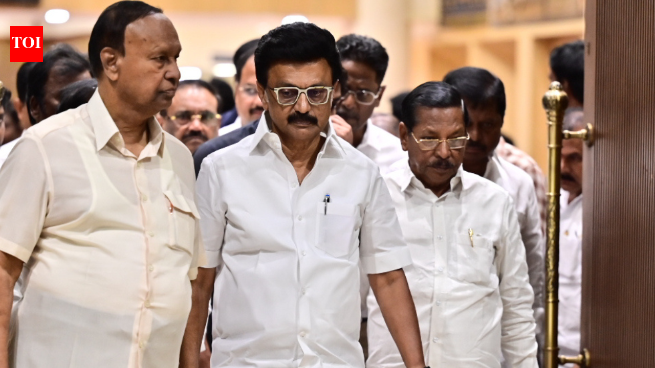 Tamil Nadu elections: CM MK Stalin files nomination, declares assets worth Rs 6.2 crore | chennai news