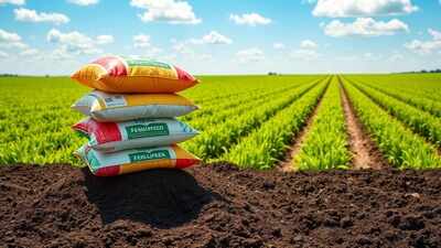 Parliamentary panel wants realistic fertilizer subsidy fund allocation at budget estimate level. india news