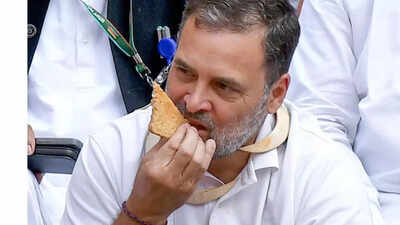 Retired officers demand apology from Rahul Gandhi over Parliament protest. india news