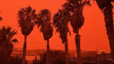 Cyclone Narel turns sky red in Western Australia as rare dust storm hits: What caused the terrifying red glow and how it happened world News