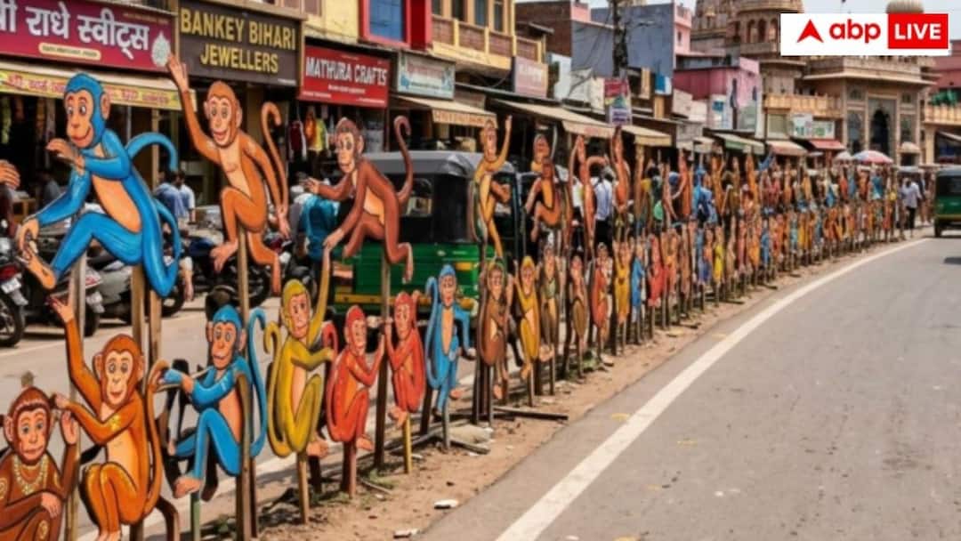 Preparations to remove President Murmu’s glasses from monkeys, cutouts of monkeys installed in Vrindavan, the market enjoyed