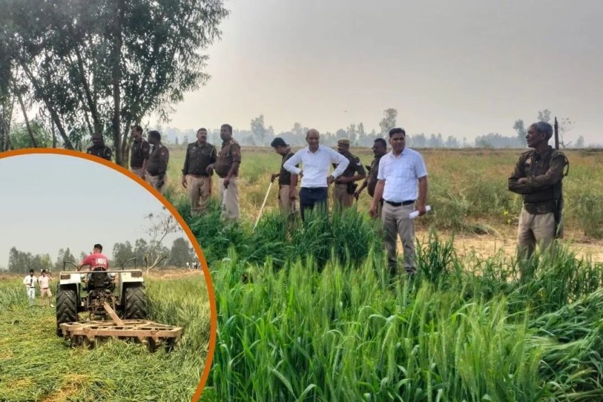 संभल में अवैध कब्जों के खिलाफ बड़ी कार्रवाई, 39 करोड़ रुपये कीमत की सरकारी जमीन जब्त 2 करोड़ रुपये मुक्त कराए गए