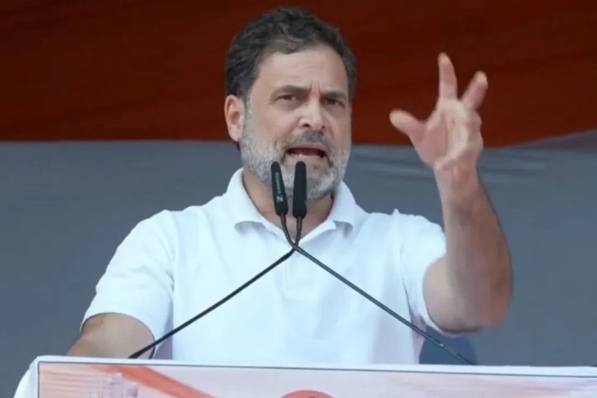 राहुल गांधी की नागरिकता पर नया विवाद…इलाहाबाद HC ने केंद्र से मांगी पूरी रिपोर्ट, सुनवाई 19 मार्च तक टली