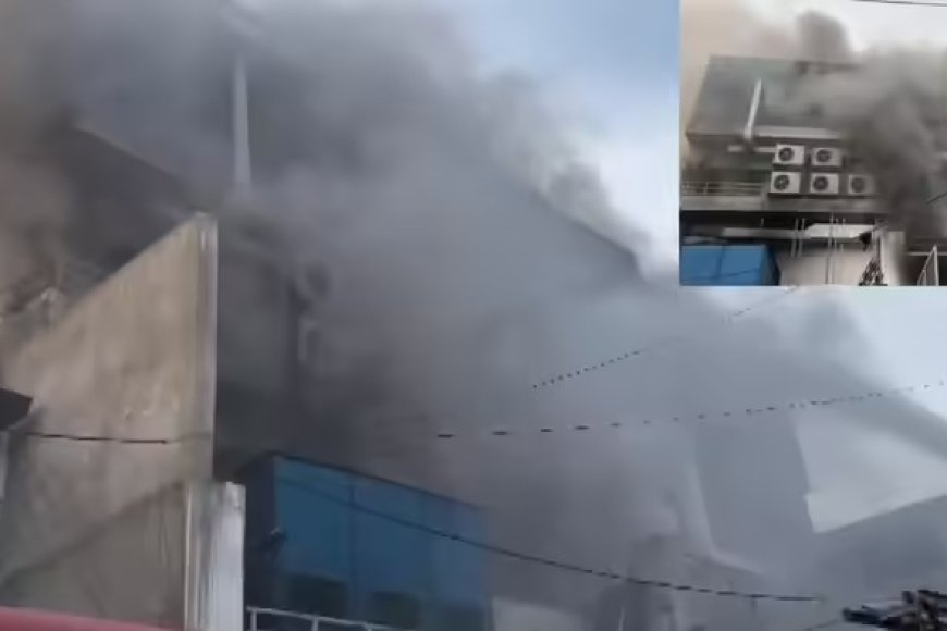 नोएडा की फैक्ट्री में लगी भीषण आग, जान बचाने के लिए कर्मचारियों ने लगाई छलांग, कई घायल