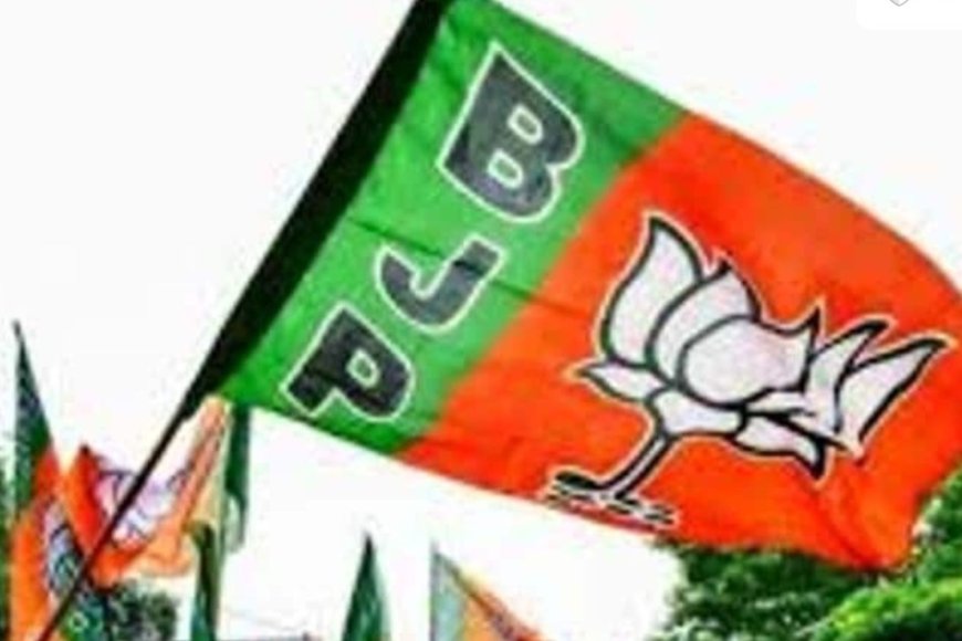 भाजपा की सिफ़ारिश पर 2802 पार्षद मनोनीत किये गये, नगर निगम में 10 और नगर परिषद में 5-5 सदस्य नियुक्त किये गये।