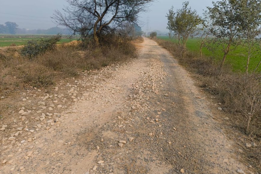 कोरारी-रामगढ़ मार्ग पर सड़क की खराब हालत से लोग परेशान, दुर्घटना का खतरा बढ़ा