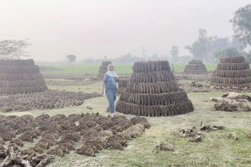 गांवों में स्वच्छता से बढ़ी लाखों की आय, गोबरधन योजना ने बदली तस्वीर