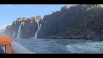 ‘Obnoxious India-India mantra’: Professor says he felt embarrassed as ‘Delhi brothers’ created ruckus at Iguaçu Falls
