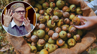 Omar supports 57-year-old walnut harvesting ban law in Assembly, links it to economy, Kashmir’s identity india news