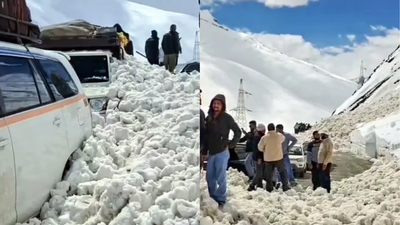 Avalanche at Zoji La Pass: 7 killed, 5 injured in Ladakh; Srinagar-Leh highway blocked. india news