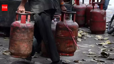 LPG crisis: 2 power subsidies for TN eateries | india news