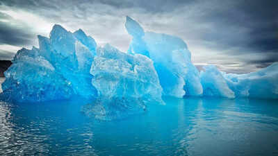 Why Greenland has almost ‘no trees’ and what makes it so unusual; The reason will surprise you. world News