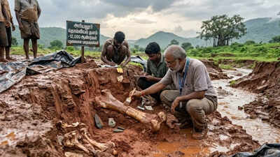 12,000-year-old fossil site uncovered after heavy rains in Tamil Nadu.