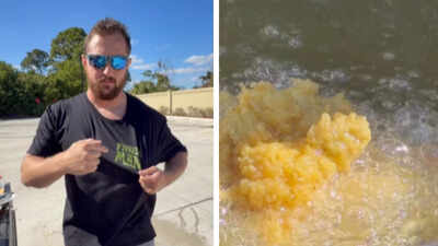 ‘I feel good’: Florida man cooks aggressive green iguana with waffles in bizarre viral video