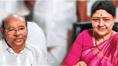 How the interplay of caste, geography decides winners in Tamil Nadu. india news