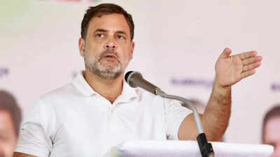 Rahul Gandhi: Government wants to change the electoral map, fear of losing power. india news