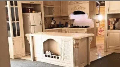 ‘Will not leave’: Desi student lives alone in a 9-storey building. india news