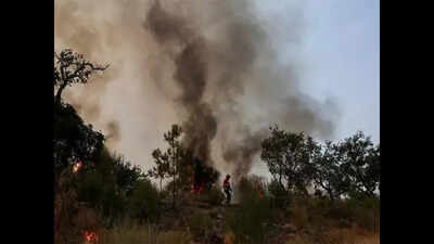 India submits its new climate action pledge to UN body, marks conditions for delivering on its promise | india news