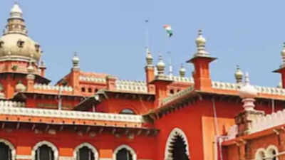 Madras High Court: Allow leave for third pregnancy: Madras High Court tells Tamil Nadu government. india news