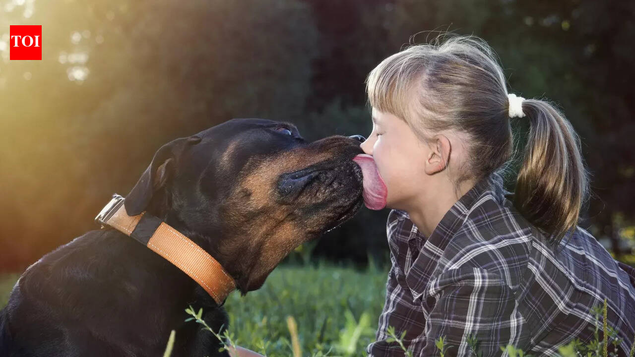 Long seasonal infection periods like this year are bad for pets