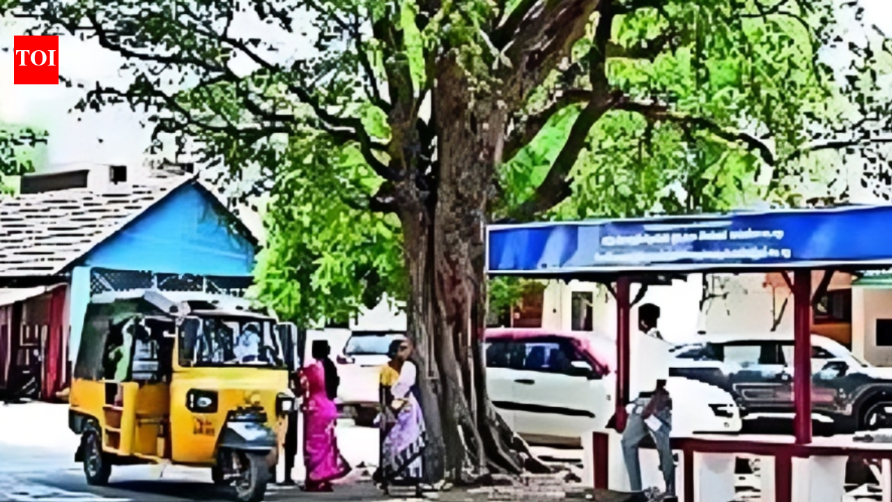 A village that rejects freebies and doesn’t allow political advertising. india news