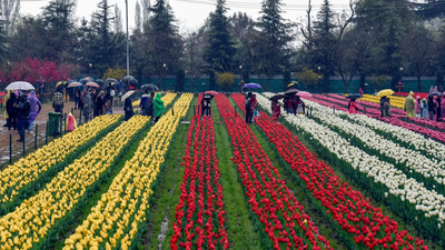 Ward of Flowers: Tulip Garden Tour for Young Cancer Fighters india news