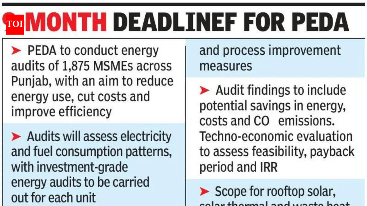 Punjab MSMEs: Energy audit: Punjab to help 1,875 MSMEs cut costs, power | chandigarh news
