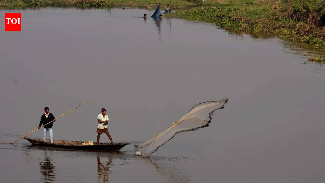 Tamil Nadu elections: Fishermen demand infrastructure more than financial aid. trichy news