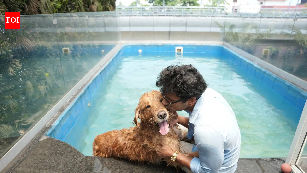 Sign up your pet for some weekend TLC events movie news