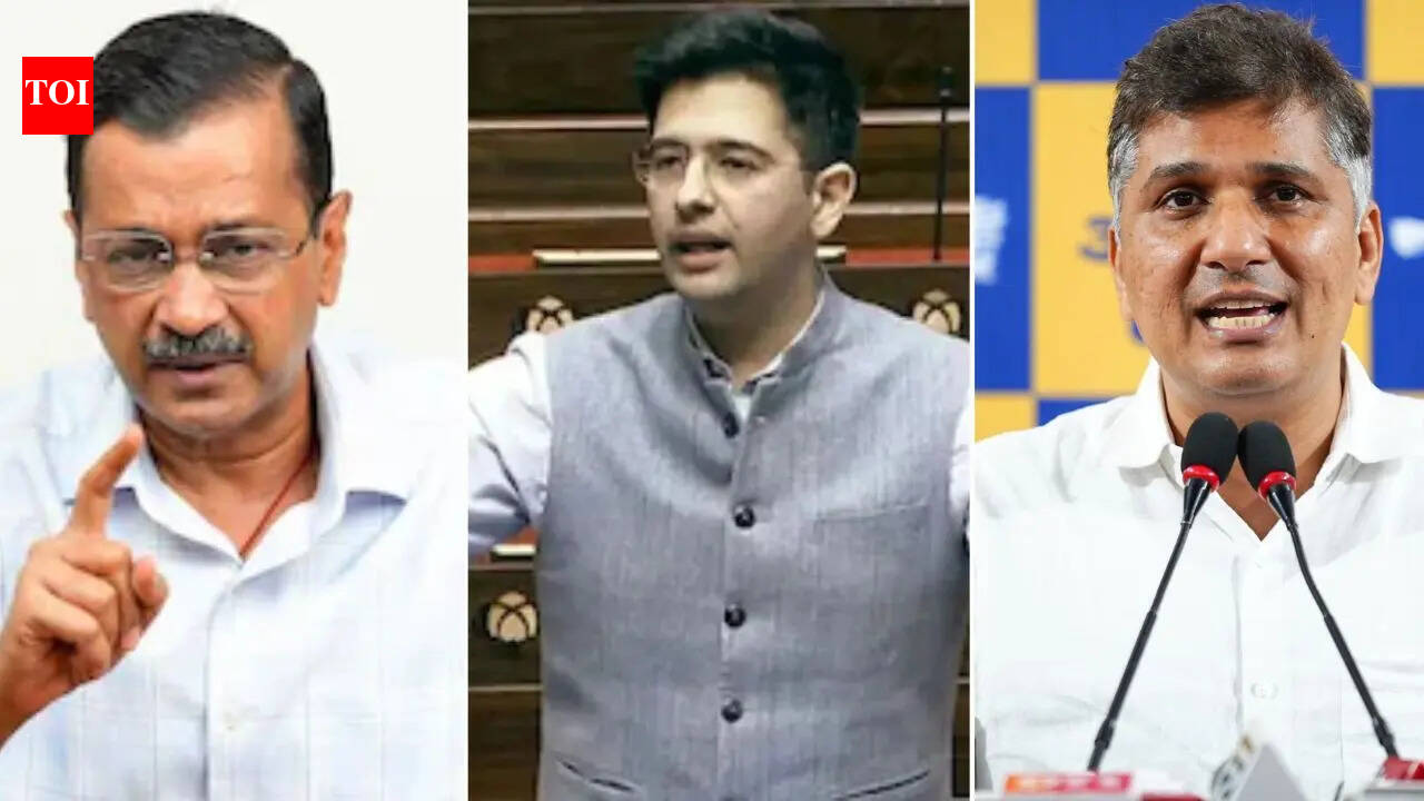 Z Security, ED raid controversy: AAP-Raghav Chadha clash turns ugly; BJP defeated. india news