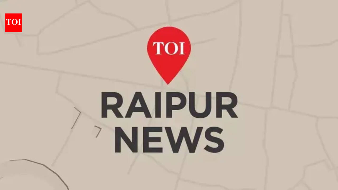 Stree Project was started in Dhamtari to promote the livelihood of rural women. raipur news