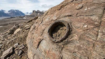 A tiny hole in Greenland reveals how creatures survived climate extremes 210 million years ago. world News