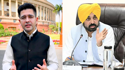 Raghav says not afraid, AAP leader says he is indulging in ‘soft PR’ India News