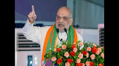 Will drop ‘false’ cases against Gorkha leaders, says Amit Shah. india news