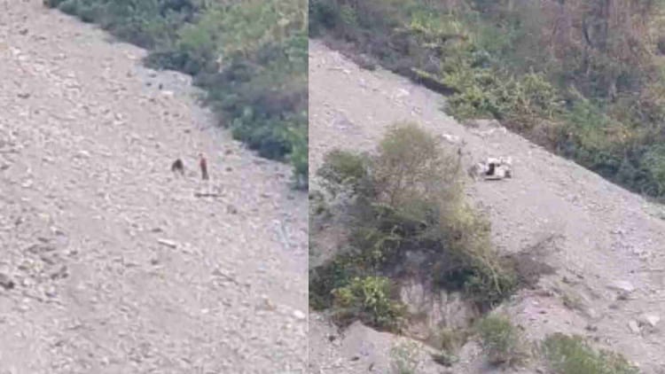 बद्रीनाथ हाईवे: तोताघाटी के पास खाई में गिरी दिल्ली के श्रद्धालुओं की कार, केदारनाथ के दर्शन कर लौट रहे थे – केदारनाथ धाम से दर्शन कर लौट रहे यात्रियों की कार बद्रीनाथ हाईवे के पास दुर्घटनाग्रस्त, मौत, घायल लापता