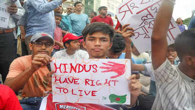 Minority group condemns brutal murder of Nayan Sadhu in Bangladesh