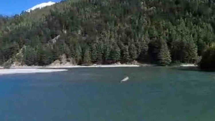 उत्तरकाशी: हर्षिल के पास भागीरथी नदी में बनी झील का जल स्तर नौ महीने बाद भी कम नहीं हुआ, बड़ी आपदा का खतरा