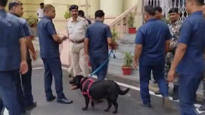Bihar Assembly Bomb Threat: Bihar Assembly received bomb threat, intensive search underway: Police. india news