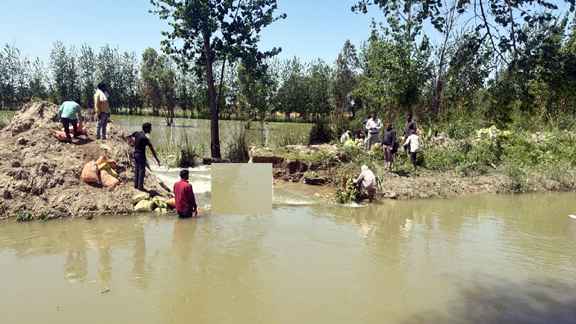 चरथावल नहर टूटने से घीसूखेड़ा में नहर टूटने से सैकड़ों बीघे फसल जलमग्न, किसानों को भारी नुकसान- मौके पर पहुंचे विधायक पंकज मलिक