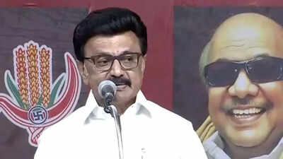 Olympic Academy, Rs 2,000 assistance for women, pumpsets for farmers: DMK’s big election pitch before Tamil Nadu elections. india news