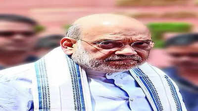 Delimitation needed to maintain one vote, one value: Amit Shah in Lok Sabha india news