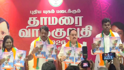 Free LPG cylinder, Rs 2,000 and more for women: What BJP promises in Tamil Nadu election manifesto india news