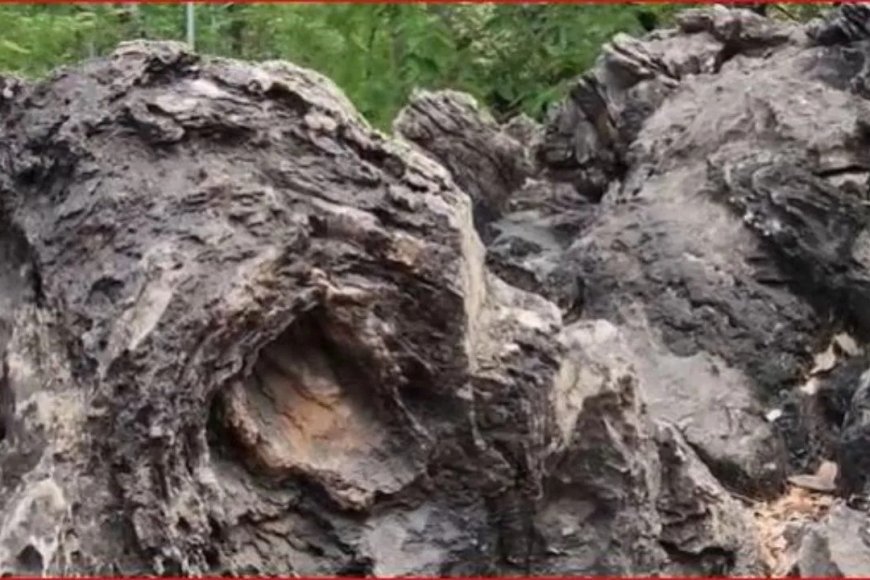यूपी की ये अनोखी जगह बनेगी ग्लोबल टूरिस्ट हॉटस्पॉट… यहां पत्थरों में छिपा है 160 करोड़ साल पुराना रहस्य, 40 देशों के वैज्ञानिक भी हैं हैरान