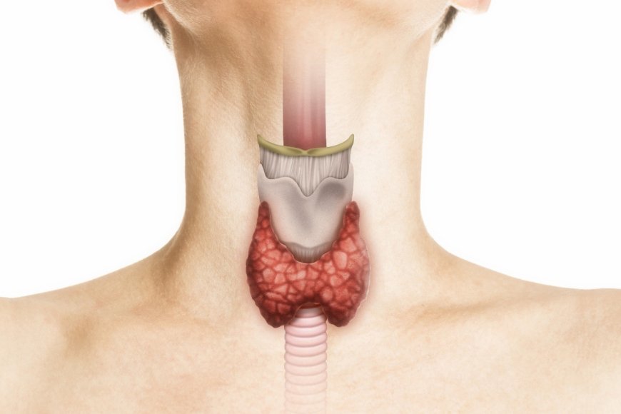 लखनऊ के एसजीपीजीआई में रोबोटिक एंडोक्राइन सर्जरी की बड़ी उपलब्धि, 200 सफल ऑपरेशन पूरे