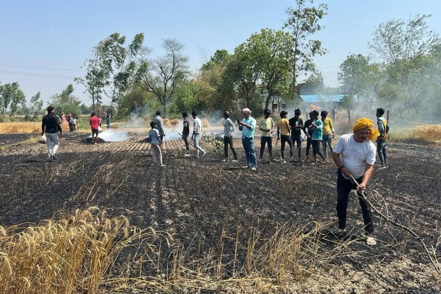 अमेठी में शॉर्ट सर्किट से लगी भीषण आग, कई किसानों की गेहूं की फसल जलकर राख.